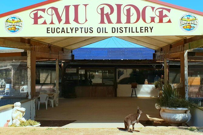 2 day Ultimate Kangaroo Island with return ferry - Comfort, timing, and the bus-time tradeoff you should plan for