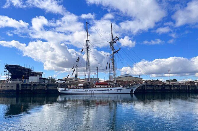 2-Hour Dolphin and Maritime Cruise in Port Adelaide - The dolphin and maritime mix: how to think about value