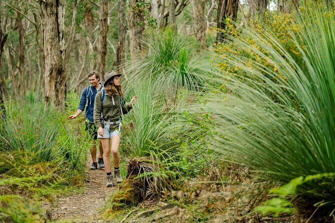 4 Days Private Walking Tour in South Australia - How the meals and wine pairing shape the whole trip