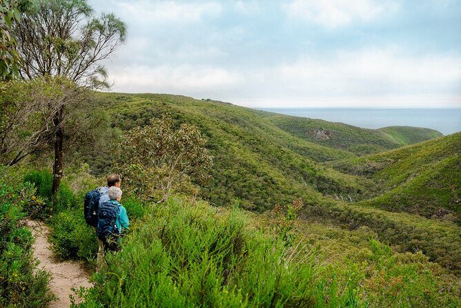 4 Days Private Walking Tour in South Australia - Daily transfers and small-group pacing: why it feels unhurried