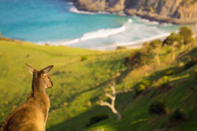 4 Days Private Walking Tour in South Australia - What you really pay for: included support vs what you must bring