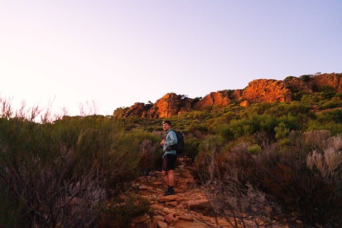 7 Day Adelaide to Uluru Adventure and Cultural Tour - Day 4’s red-dirt run: Kanku–Breakaways and the Dingo Fence