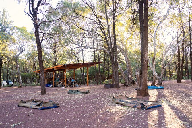 7 Day Adelaide to Uluru Adventure and Cultural Tour - Walpa Gorge, the Cultural Centre, and Uluru sunrise: culture meets the light show