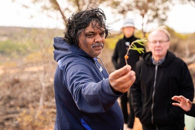 7-Night Murraylands and Wildlife Cruise on the Murray Princess - Day 7: Nildottie cliffs, optional bush tucker, and the First Australians angle