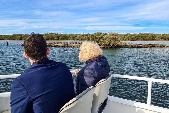 90 Minute Port River Dolphin & Ships Graveyard Cruise - Adelaide Dolphin Sanctuary: what to expect when the skipper starts searching