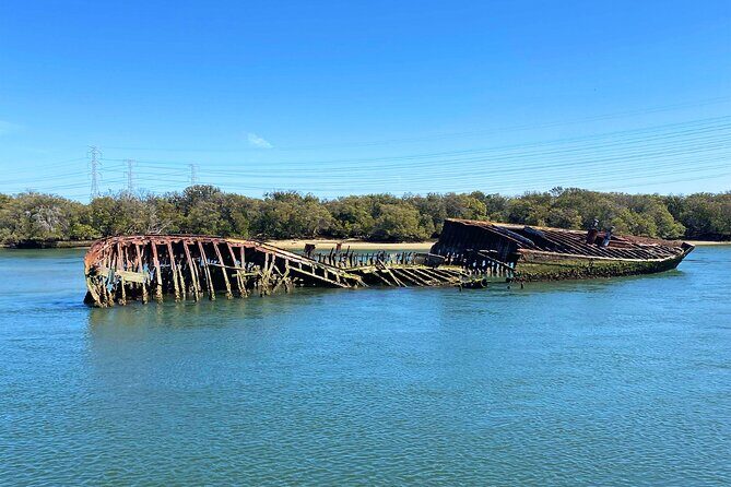 90 Minute Port River Dolphin & Ships Graveyard Cruise - Practical tips: snacks, photos, and how to stay comfortable