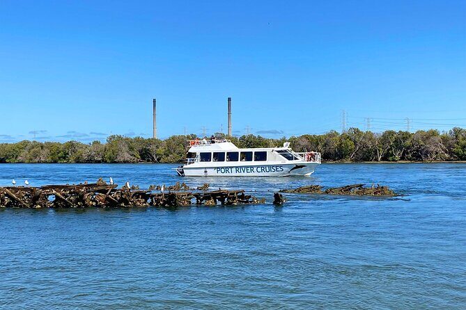 90 Minute Port River Dolphin & Ships Graveyard Cruise - Who should book this cruise, and who might be happier with something else
