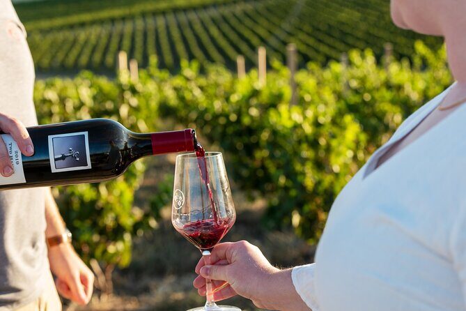 A Truly Barossan Wine Experience - High-End Private Day Tour - Key highlights you’ll feel from the start