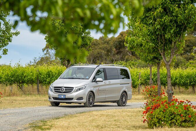 A Truly Barossan Wine Experience - High-End Private Day Tour - Two Hands Wines: ending with premium, cellar-style reds