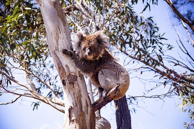 Abseiling Adventure in Adelaide - First taste of abseiling in Morialta Conservation Park