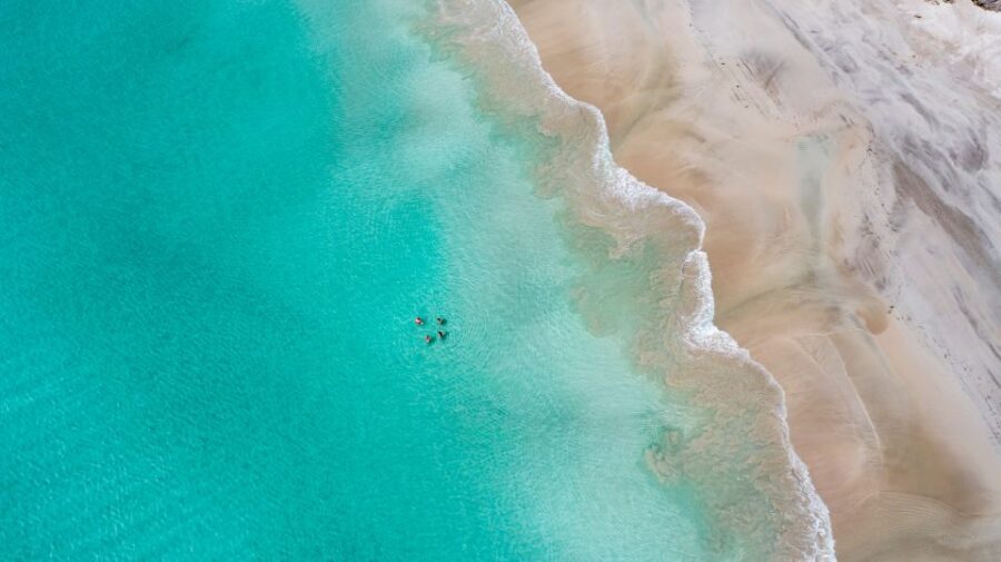 Adelaide: 3-Day Kangaroo Island Adventure Tour with Camping - The guide and group energy: why this tour feels cohesive