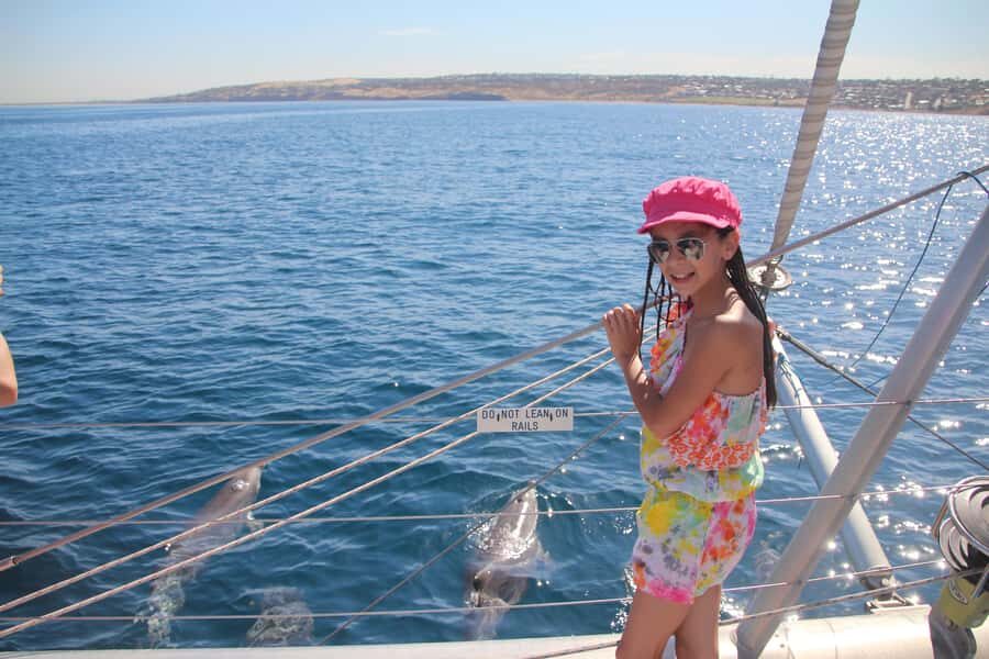 Adelaide: 4-Hour Guaranteed Wild Dolphin Watching Cruise - Practical tips that will save you on the day