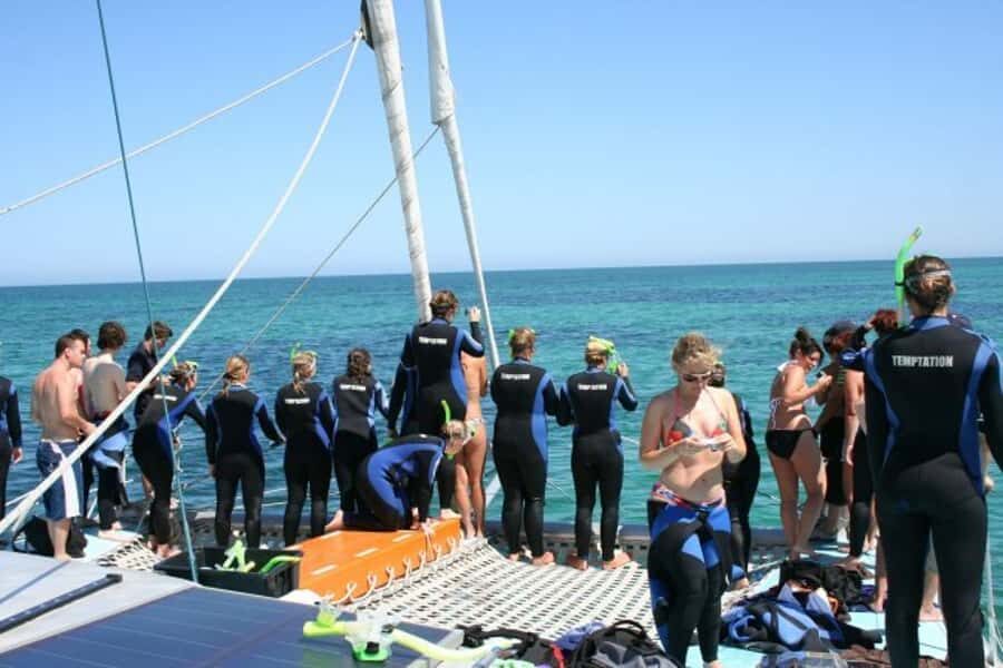 Adelaide: 4-Hour Swimming with Dolphins Experience - Seasickness, cold water, and real-life body limits