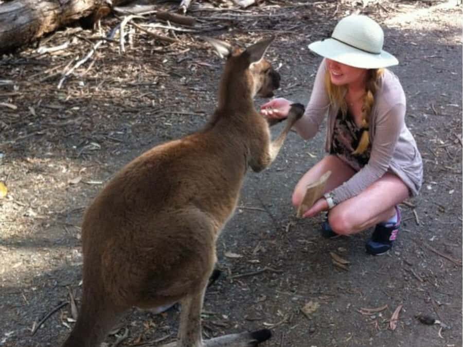 Adelaide: Barossa Day Out: Wines, Brewery, Chocolate & Lunch - Kies Family Winery: award-winning wines with a family feel