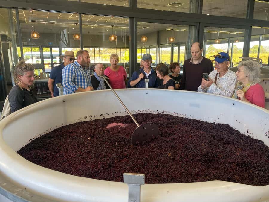 Adelaide: Barossa Premium Wine Tasting tour & Winery Lunch - Rosenvale Vineyards: the crafted tour and tasting exclusive to this group