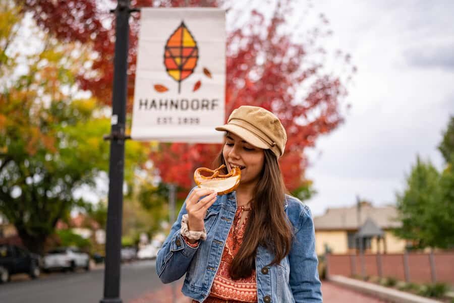 Adelaide: City, Adelaide Hills Villages, and Hahndorf Tour - Lunch Break on Your Own: Plan It So You Don’t Rush Later
