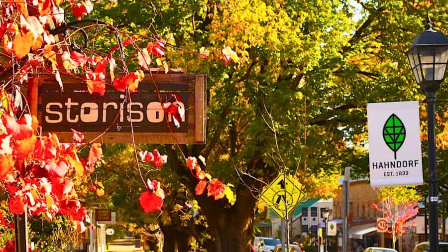 Adelaide City Highlights Half-Day Tour, Mt Lofty & Hahndorf - How this half-day tour really works (and why the timing matters)