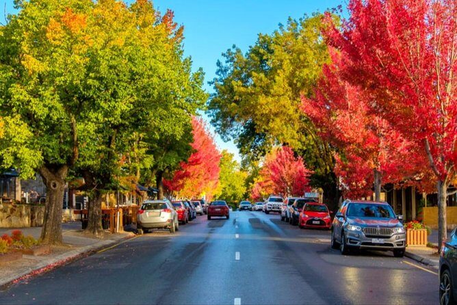 Adelaide City Highlights- Mt. Lofty & Hahndorf Half-Day Tour - Live commentary: why the driver-guide can turn a good tour into a great one
