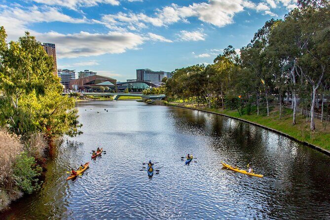 Adelaide City Kayak Tour - The vibe: city landmarks plus real river life