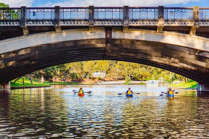 Adelaide City Kayak Tour - Wildlife spotting: waterfowl and black swans