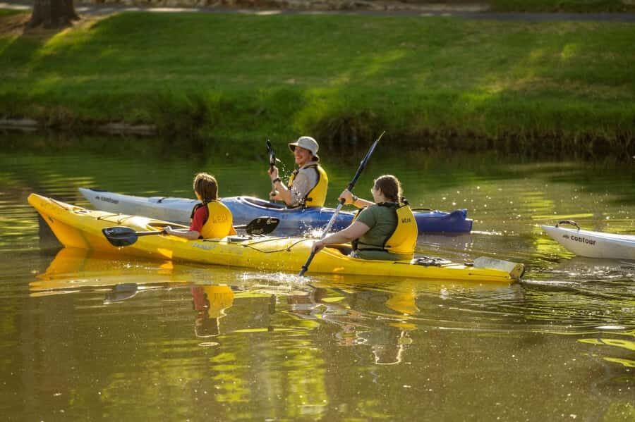 Adelaide: City Kayaking Experience - Adelaide from the water: what the city looks like when you’re low and moving