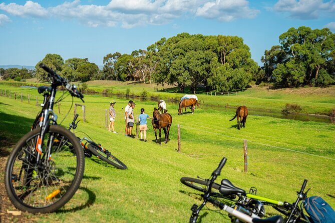 Adelaide City to Sea Bike Tour - Price and value: what $97.55 buys you