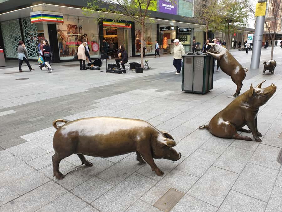 Adelaide: City Walking Tour with Guide - Pace, Weather, and What to Pack for Adelaide Walking Hours