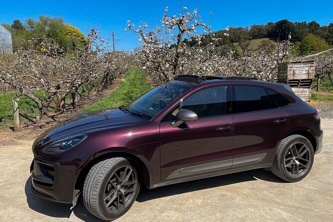 Adelaide Couples Tour: Penfolds(World #2) Visit Hahndorf & Lunch - Nepenthe Wines: relaxed vineyard charm after Penfolds