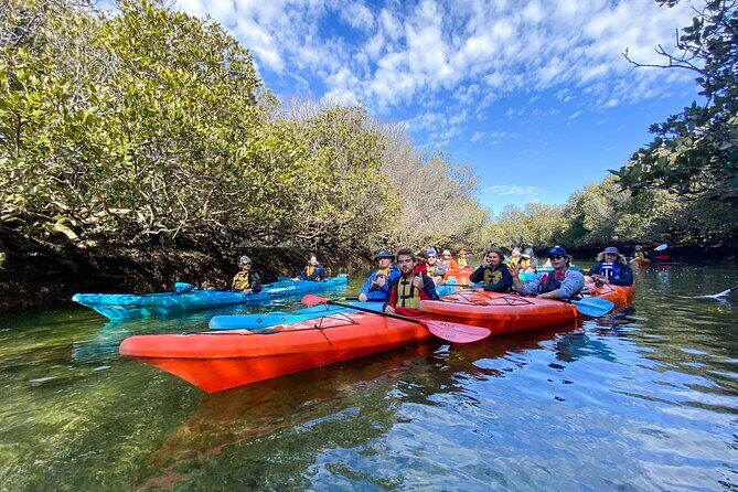 Adelaide Dolphin Sanctuary and Ships Graveyard Kayak Tour - Key things to know before you paddle