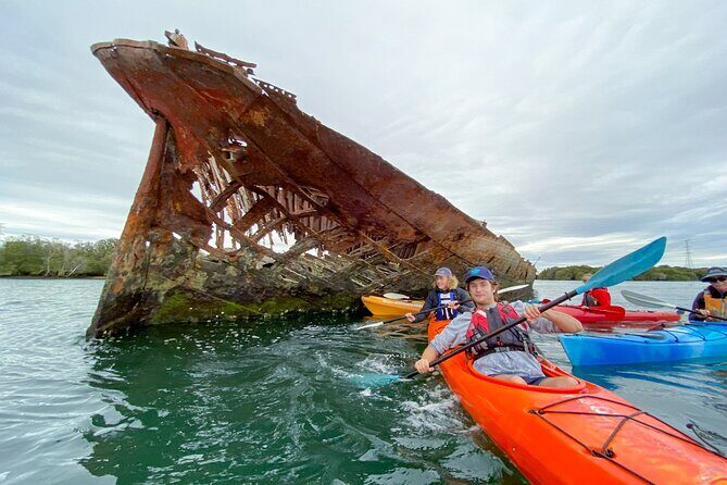 Adelaide Dolphin Sanctuary and Ships Graveyard Kayak Tour - Ships’ Graveyard and Garden Island shipwrecks: the second wow moment