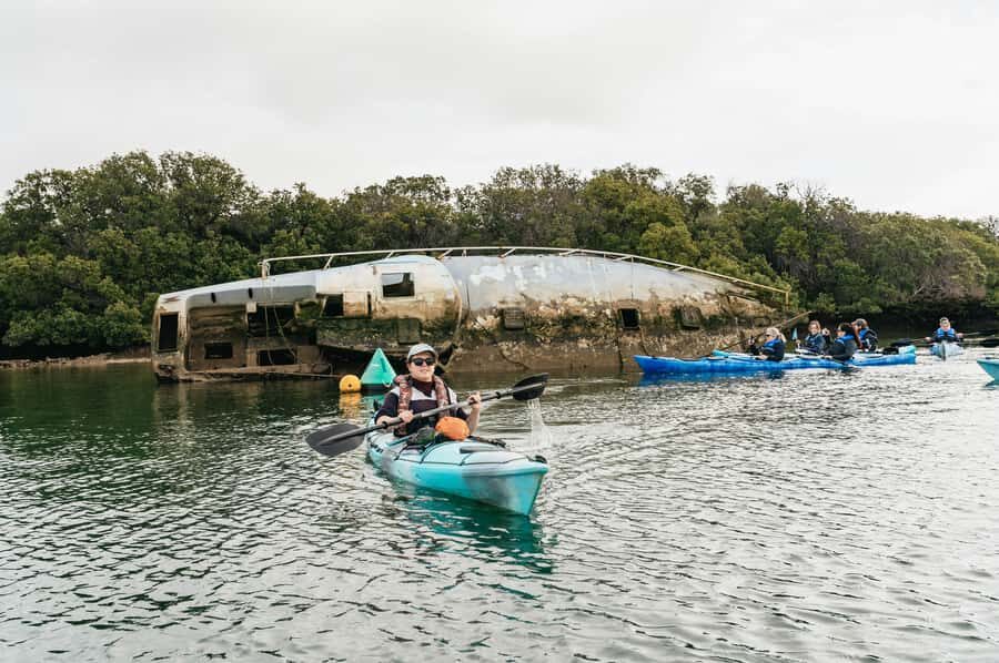 Adelaide: Dolphin Sanctuary Eco Kayaking Tour - What to bring so your day feels easy