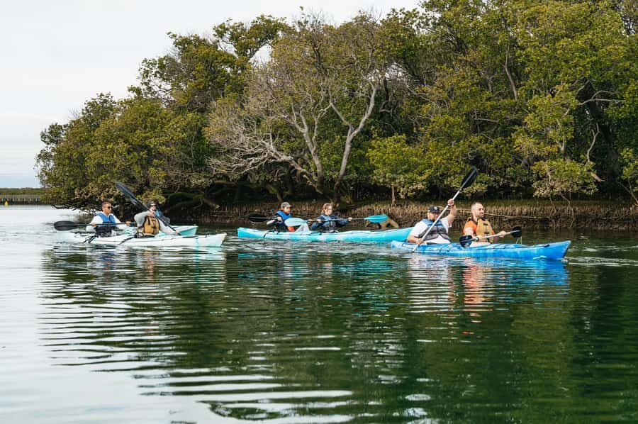 Adelaide: Dolphin Sanctuary Eco Kayaking Tour - The 15-minute safety briefing that actually matters