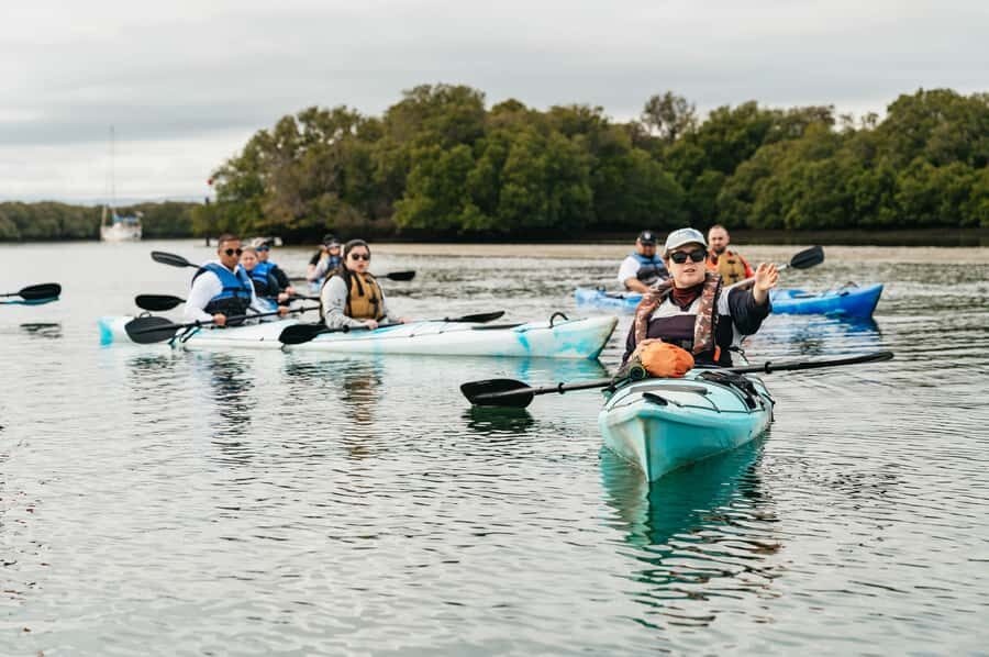 Adelaide: Dolphin Sanctuary Eco Kayaking Tour - Kayaking the 10,000-year-old mangrove creeks
