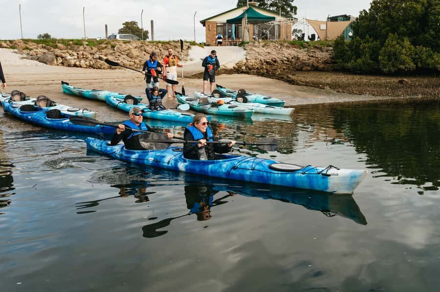 Adelaide: Dolphin Sanctuary Eco Kayaking Tour - Shipwreck paddles: the cool history bonus, not a promise