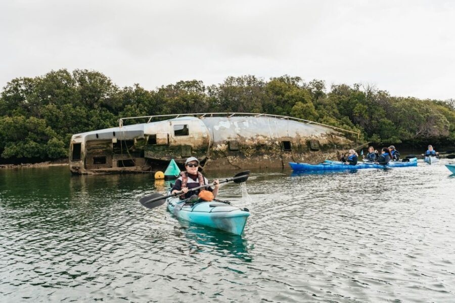Adelaide: Dolphin Sanctuary Eco Kayaking Tour - Price and value: is $55 per person fair?