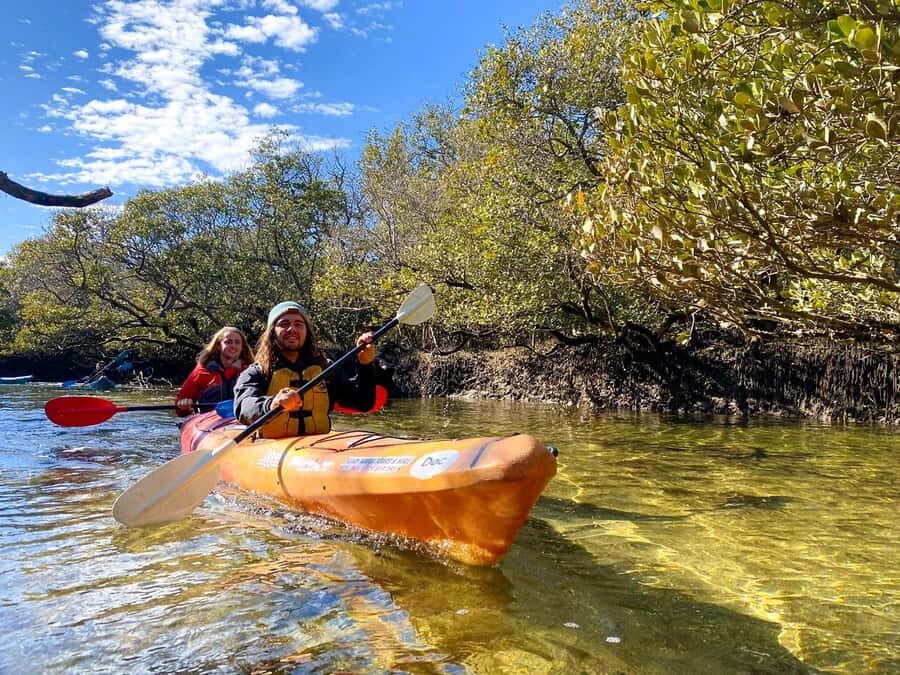 Adelaide: Dolphin Sanctuary Single or Double Kayak Rental - Garden Island Boat Ramp: Your Launch and Safety Briefing
