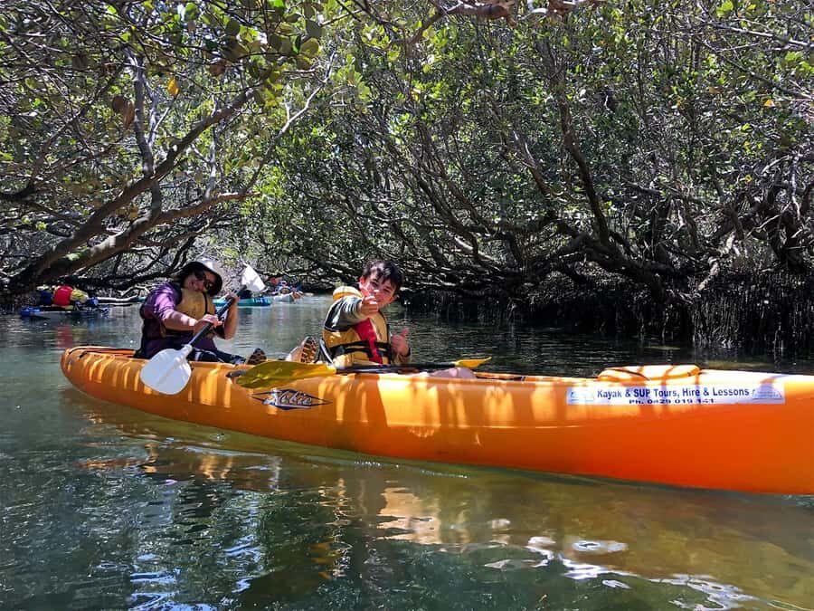 Adelaide: Dolphin Sanctuary Single or Double Kayak Rental - Adelaide Dolphin Sanctuary: Where Dolphins (and Marine Life) Tend to Show Up