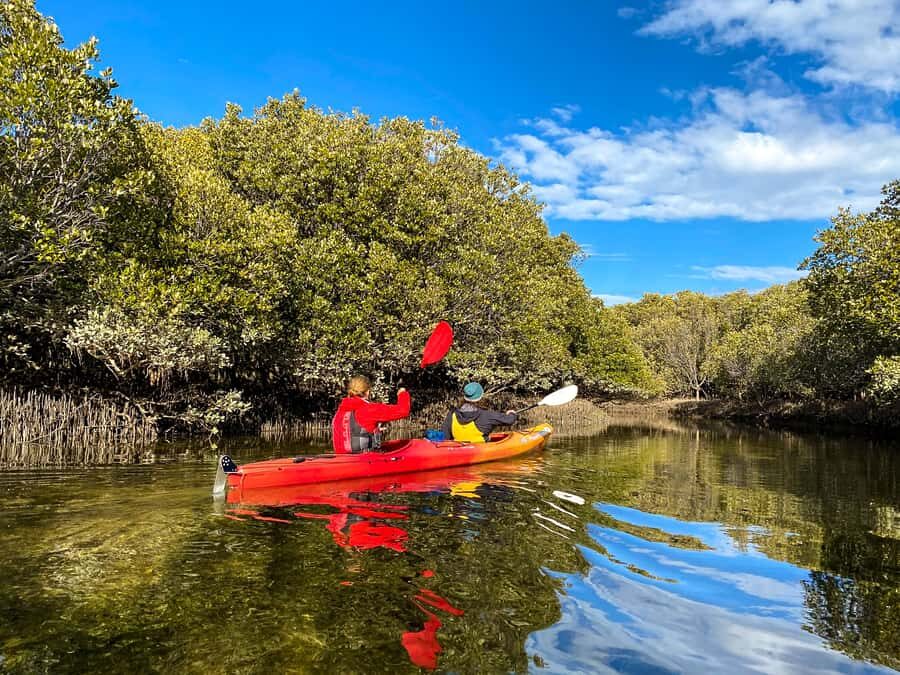 Adelaide: Dolphin Sanctuary Single or Double Kayak Rental - Getting There Without a Car: Garden Island Logistics