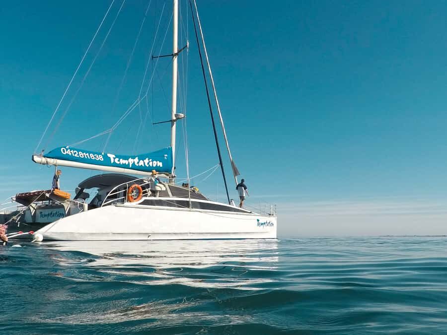 Adelaide: Glenelg Twilight Catamaran Cruise with Drink - Key Moments You’ll Remember from the Adelaide to Glenelg Twilight Cruise