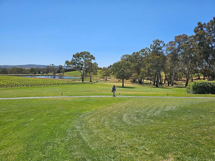 Adelaide: Hahndorf & Hills Wine and/or Gin Tour - Key highlights worth marking in your calendar