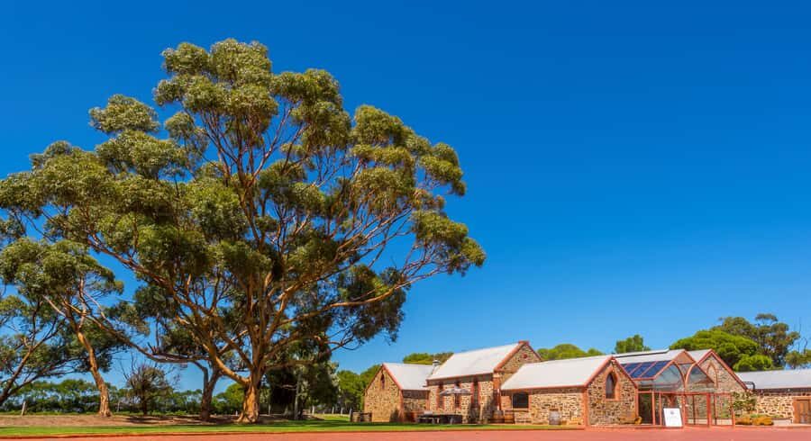 Adelaide: Half-day McLaren Vale & Glenelg Wine Tasting Tour - McLaren Vale Wine Tasting + Glenelg Beach in One Afternoon