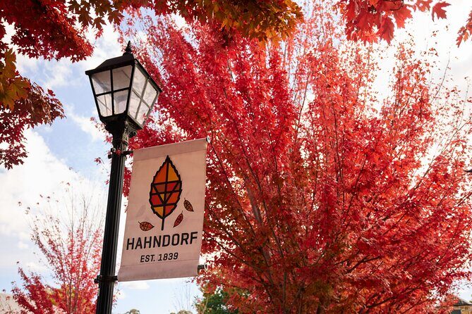Adelaide Highlights, Hahndorf & McLaren Vale Wine Tasting and Sightseeing Tour - Small-group format: why max 18 matters on this route