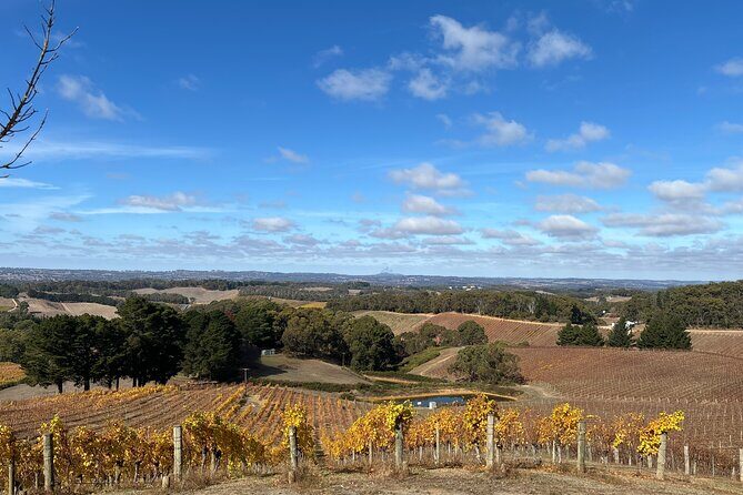 Adelaide Hills and Hahndorf - Half Day Private Scenic Tour - Beerenberg Farm: the included stop for berries and a cafe break