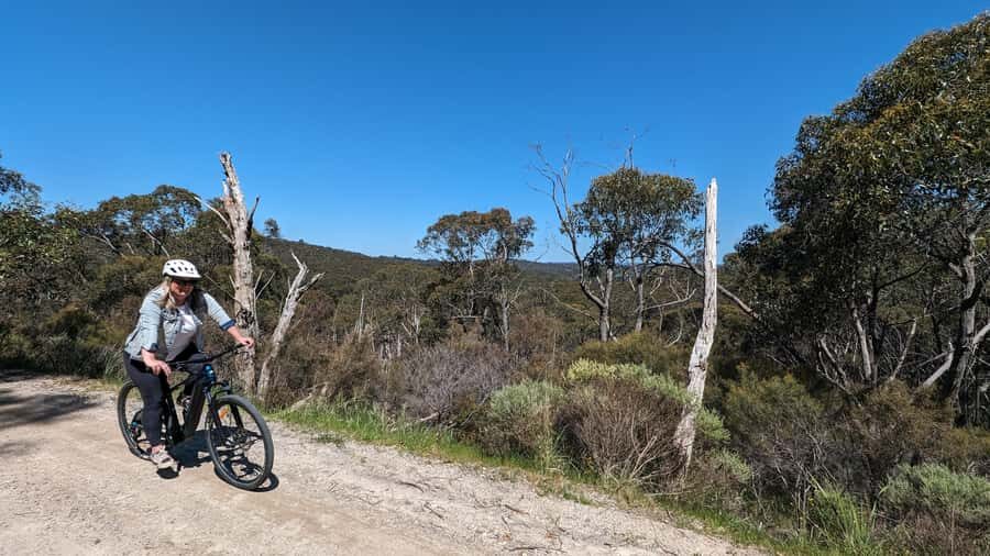 Adelaide Hills: E-Bike Self-Guided Tour with Coffee and Cake - Riding the 2023 Focus Jarifa Bosch: pedal assist that actually helps