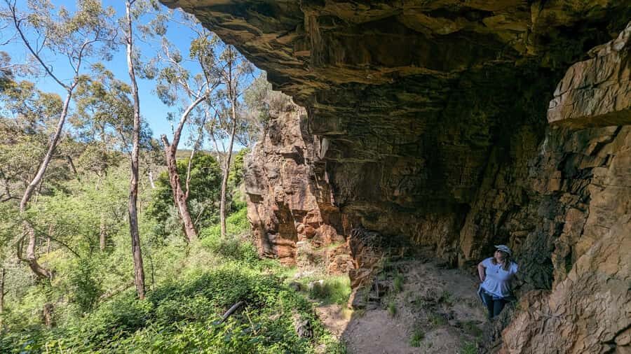 Adelaide Hills: E-Bike Self-Guided Tour with Coffee and Cake - Wildlife you might spot: koalas, kangaroos, and emus