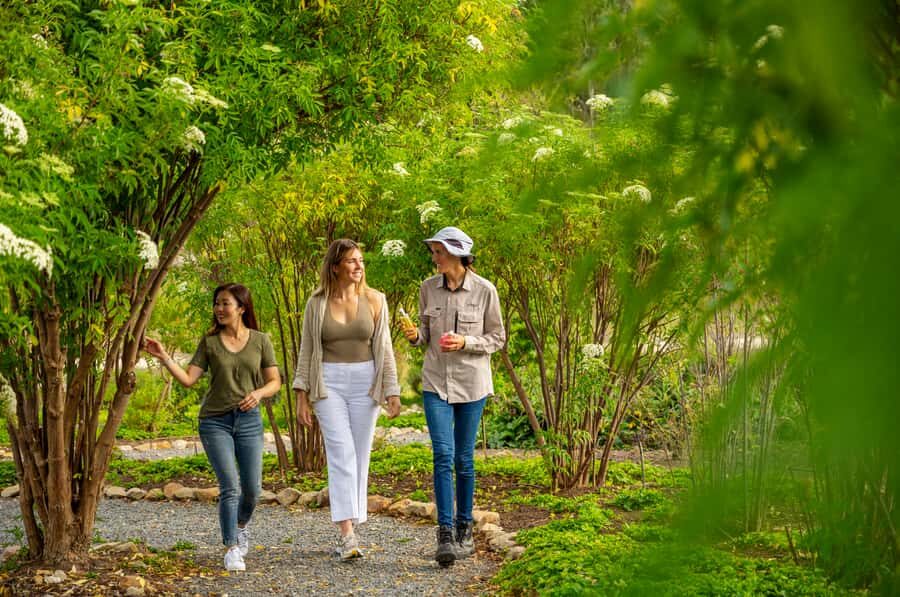 Adelaide Hills: Jurlique Farm Tour - Key Things That Make This Tour Worth Your Time