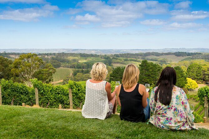Adelaide Hills Luxury Wine Tour - Private Day Tour - The lineup: a stop-by-stop look at how the day works