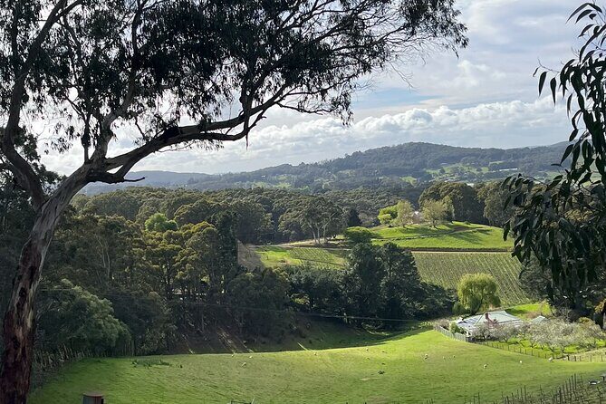 Adelaide Hills Nature Highlights Self-Guided e-Bike Tour - E-bike details: the stuff that affects your comfort