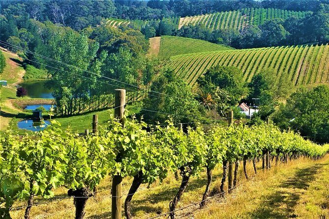 Adelaide Hills Private Day Tour - Key things that make this Adelaide Hills day tour worth it