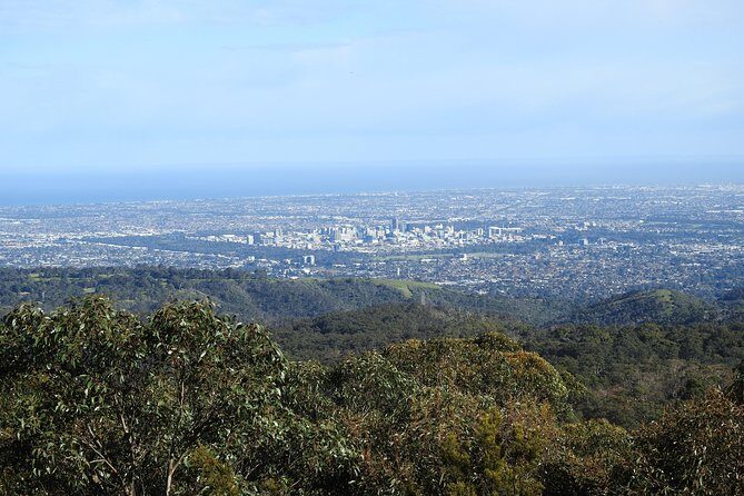 Adelaide Hills Private Day Tour - Languages and group setup: good news for mixed traveling parties